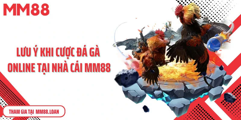 Lưu ý khi cược đá gà online tại nhà cái MM88