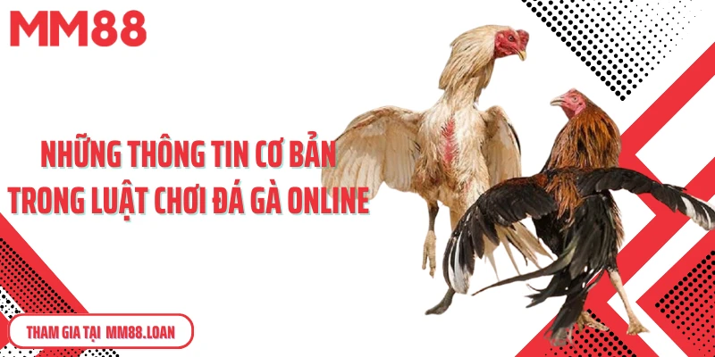 Những thông tin cơ bản trong luật chơi đá gà online
